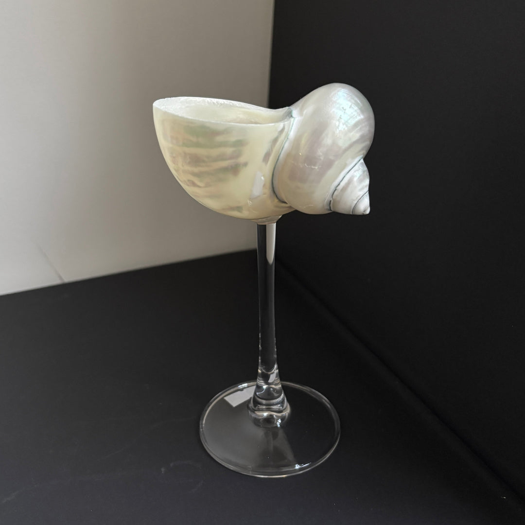 Shell coupe glass