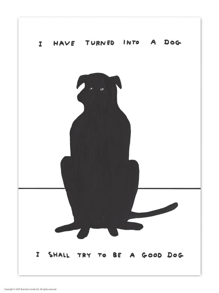 Funny A6 Art Postcard By David Shrigley - Turned Into A Dog