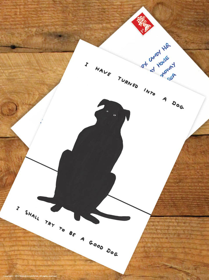 Funny A6 Art Postcard By David Shrigley - Turned Into A Dog