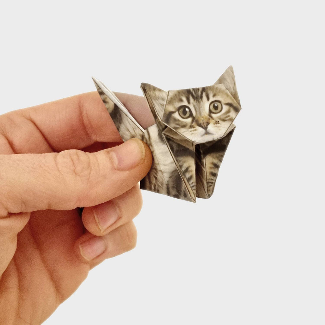 Paper Cats | Perfect for Cat Lovers | Cute DIY Origami Kit