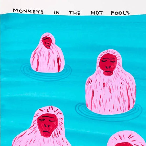 David Shrigley Funny Monkeys In Pool Birthday Card