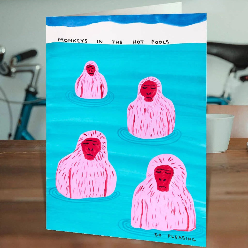 David Shrigley Funny Monkeys In Pool Birthday Card
