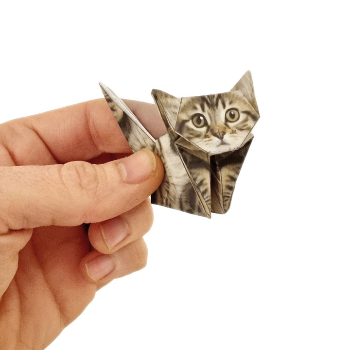 Paper Cats | Perfect for Cat Lovers | Cute DIY Origami Kit