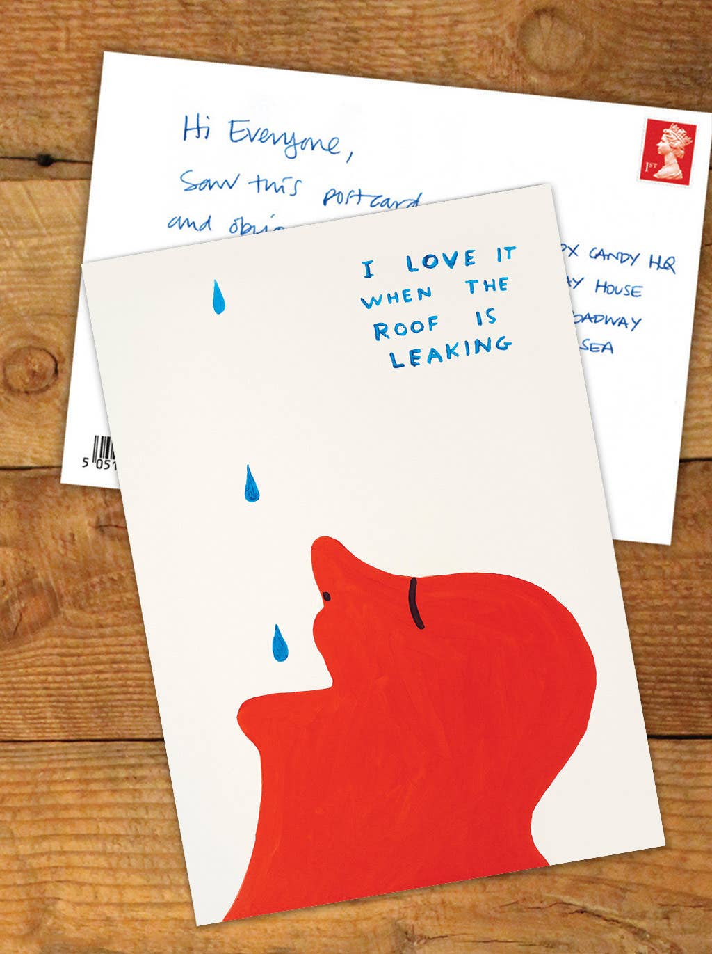Funny A6 Art Postcard By David Shrigley - Roof Leaking