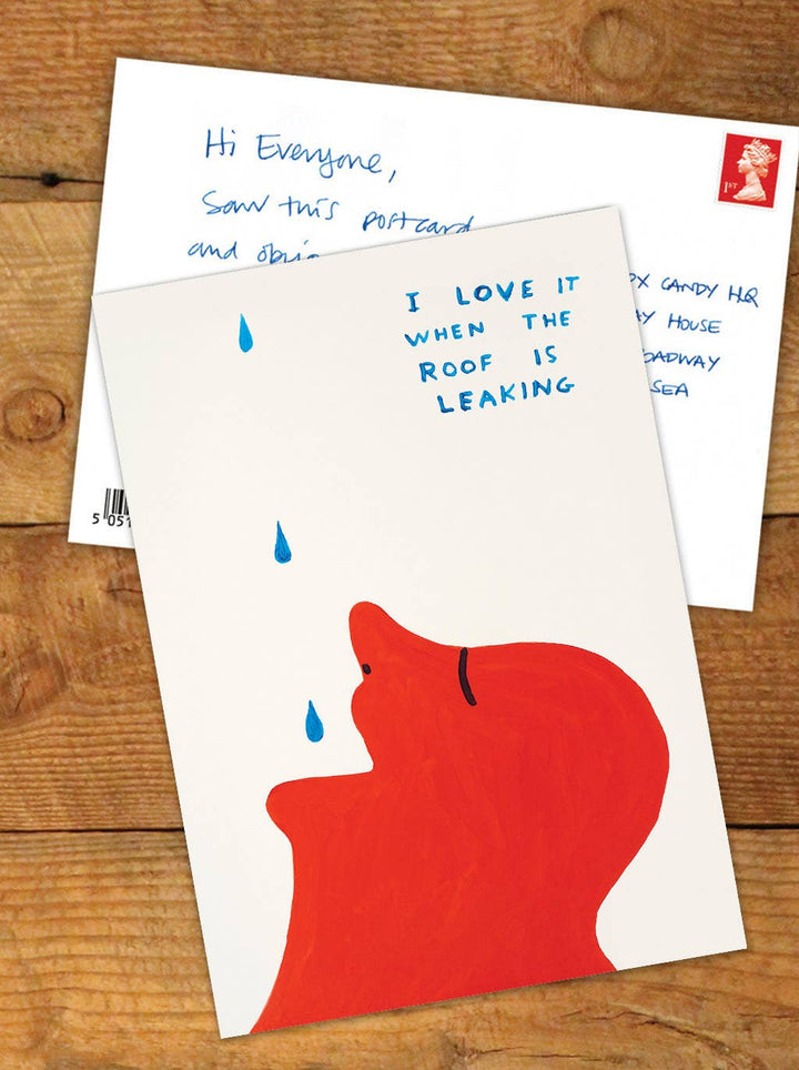 Funny A6 Art Postcard By David Shrigley - Roof Leaking