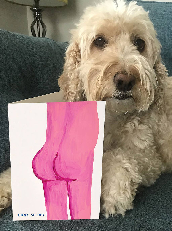 Funny Greetings Card By David Shrigley - Look At This Bum