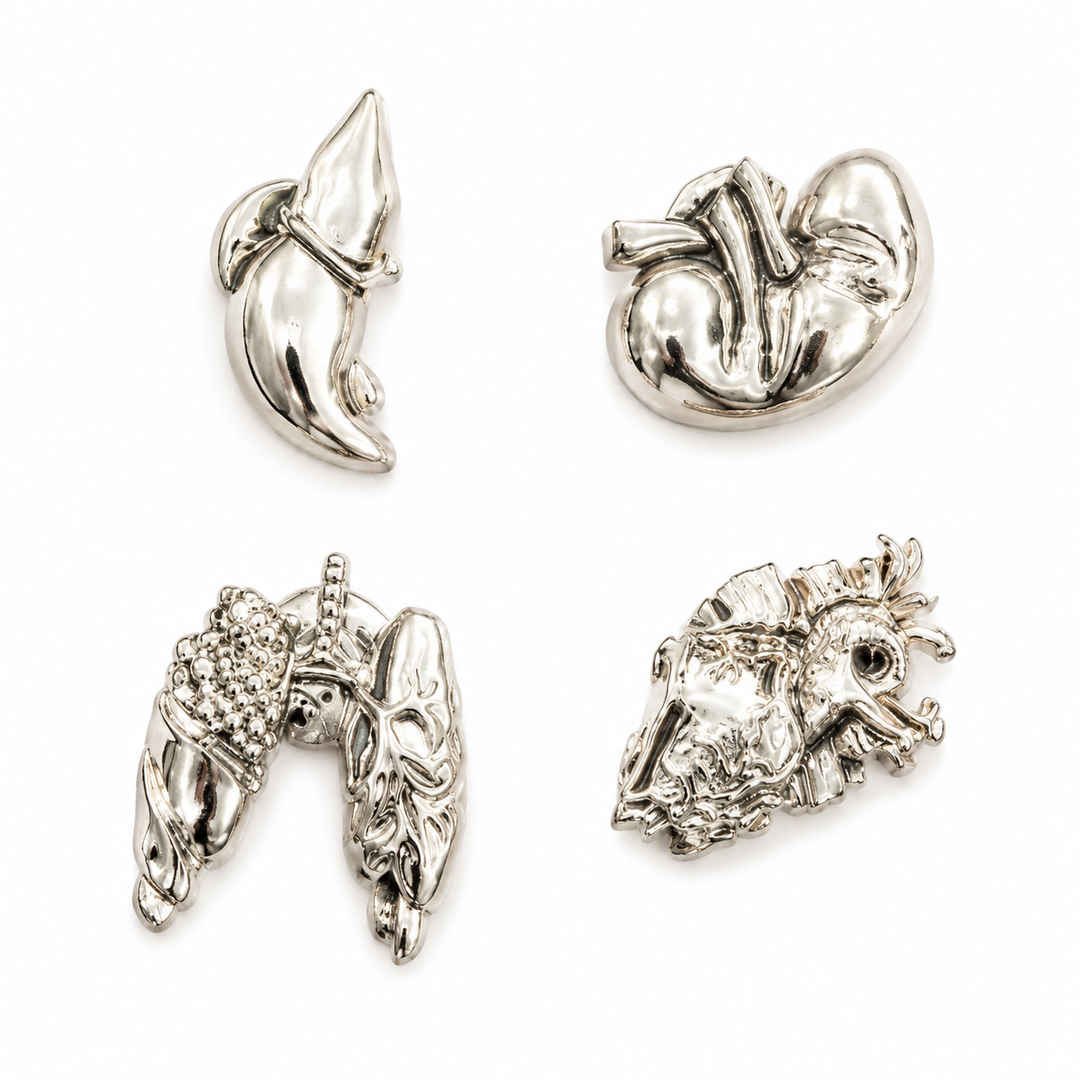Heart Lung Liver Kidney Anatomical Tie Pin Badge