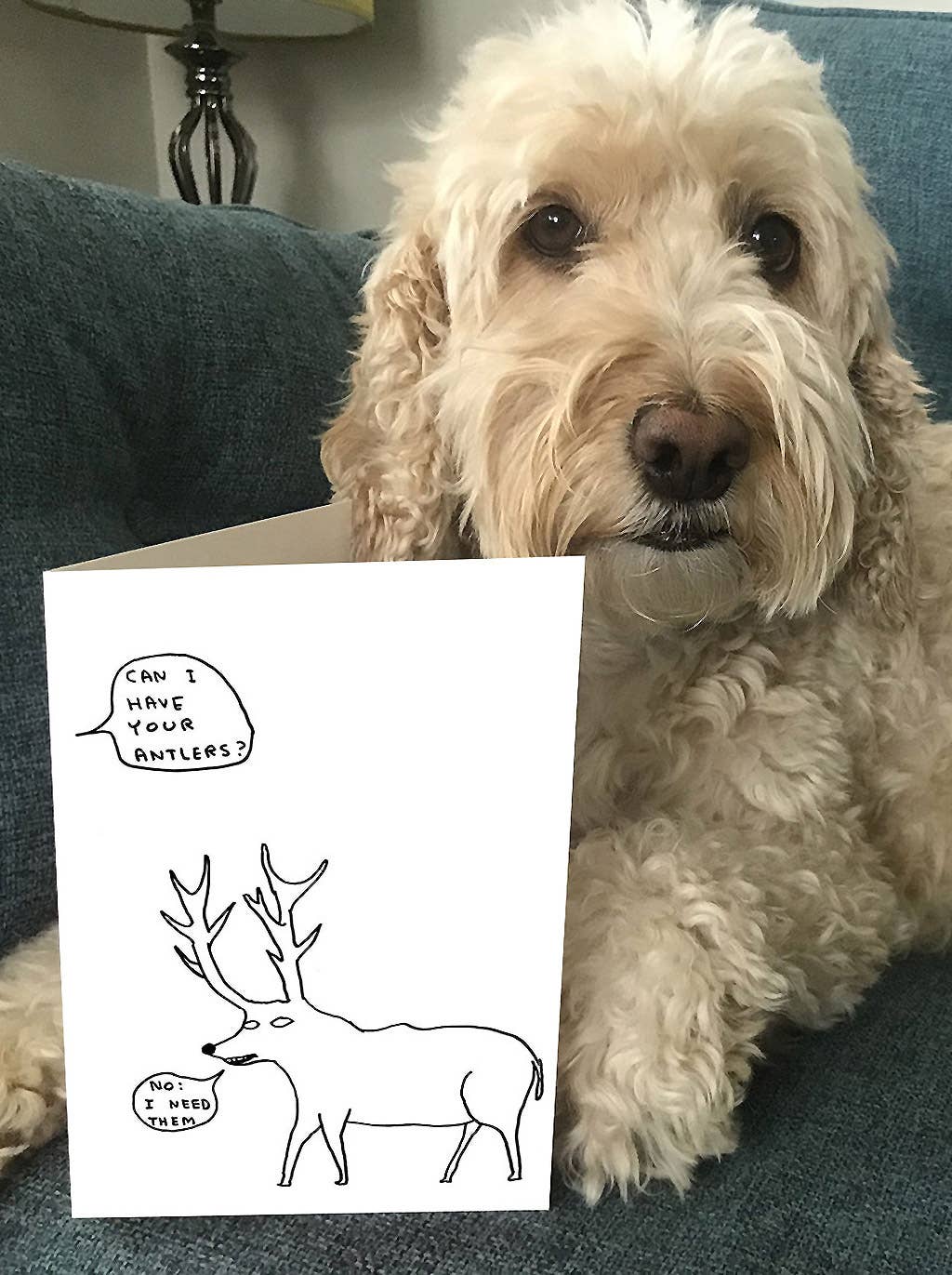 David Shrigley Funny Christmas Card - Antlers