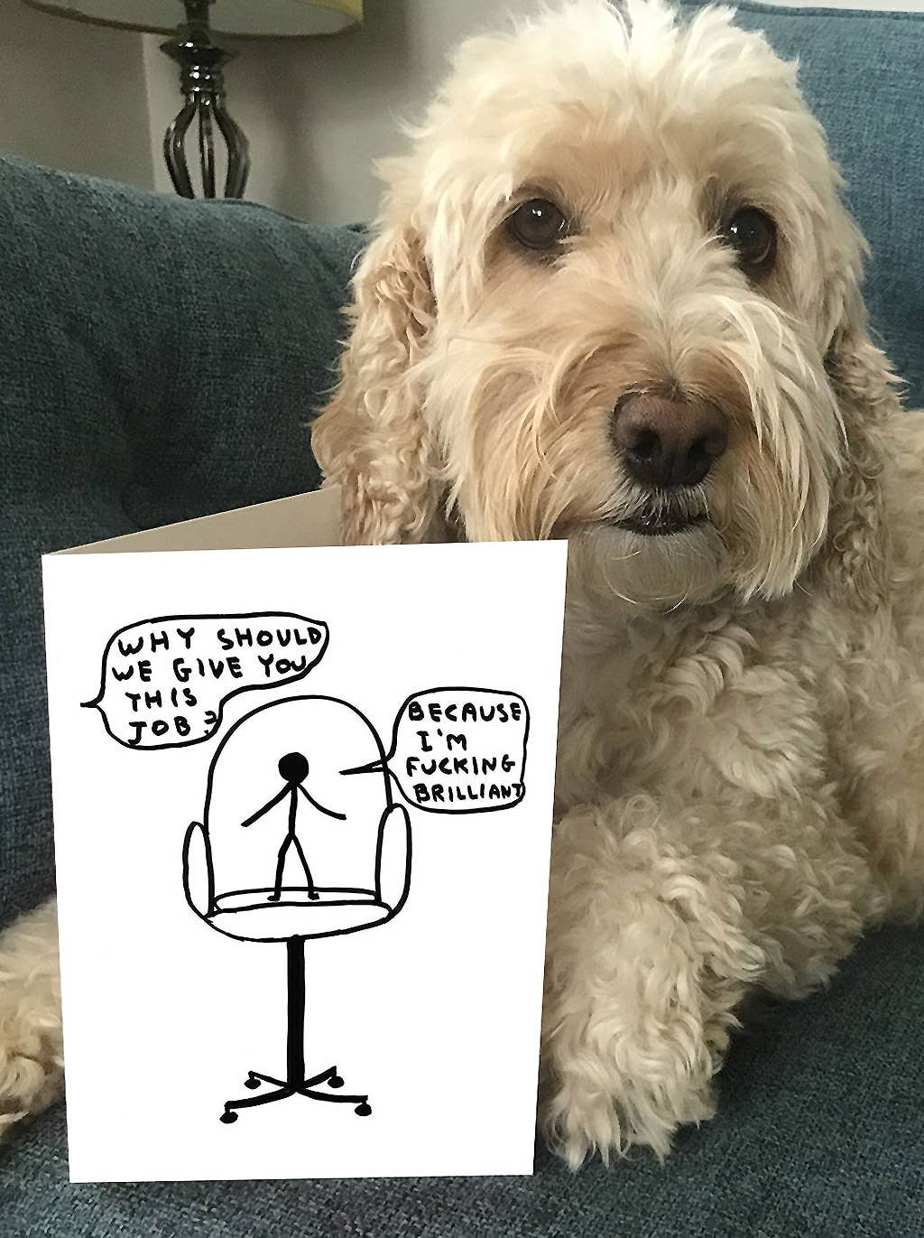 Funny New Job Card By David Shrigley - I'm Brilliant