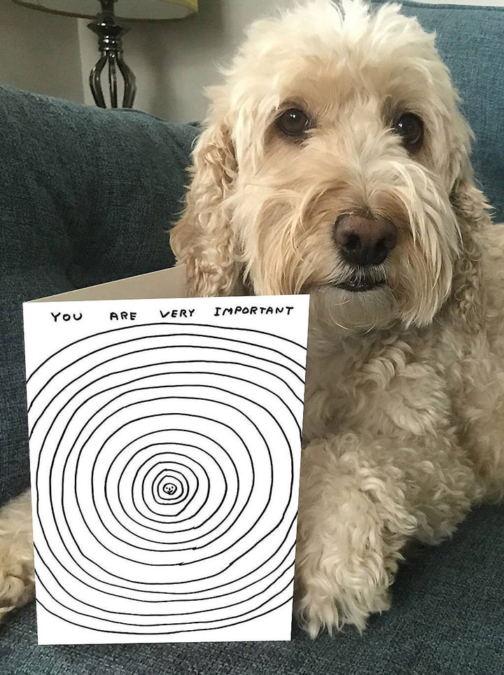 Funny Greetings Card By David Shrigley - You Are Important