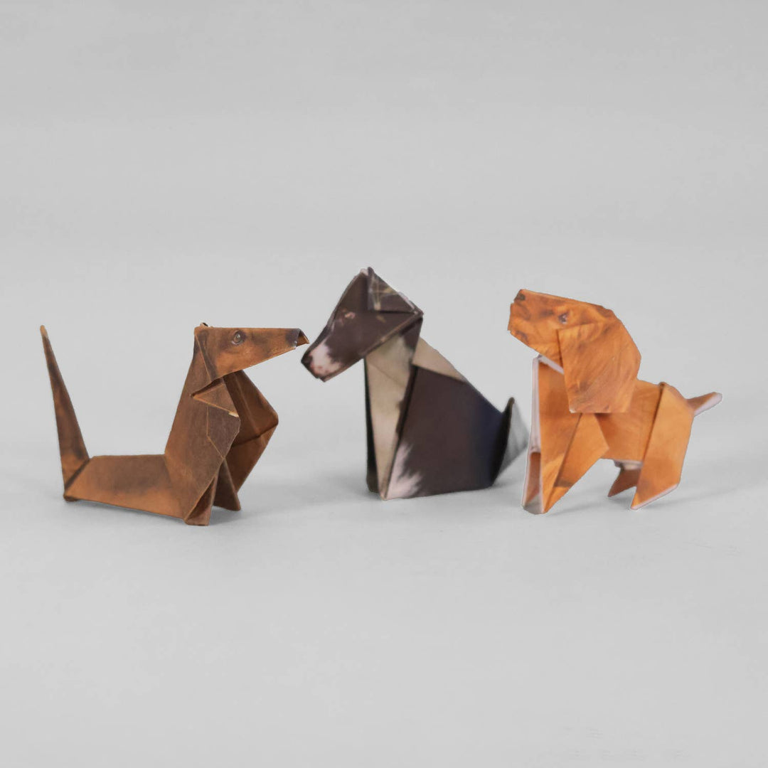 Paper Pups | Perfect for Dog Lovers | Cute DIY Origami Kit