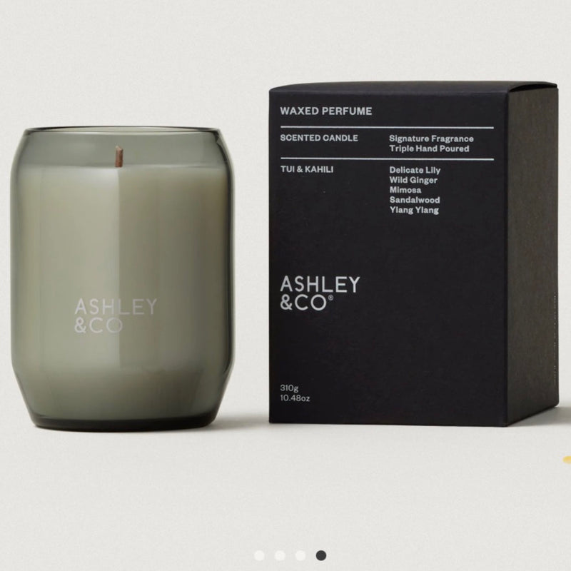 Ashley & Co Waxed Perfume Candle Tui & Kahili