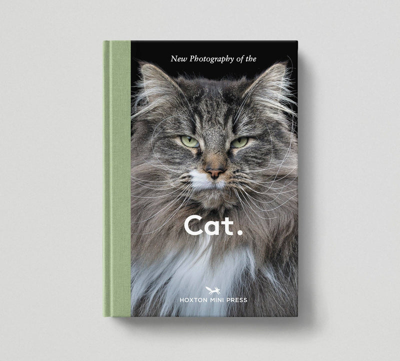 New Photography of the CAT - Hoxton Mini Press