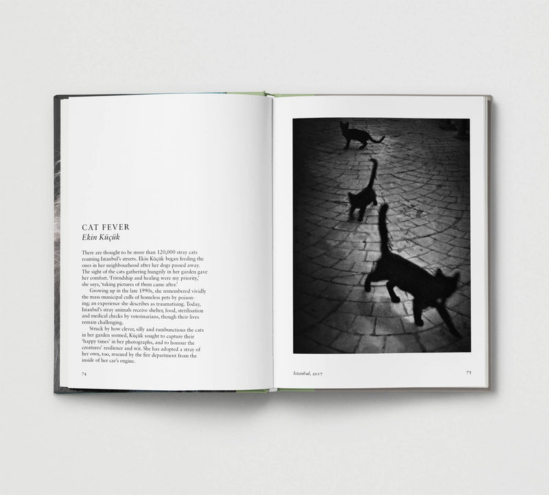 New Photography of the CAT - Hoxton Mini Press