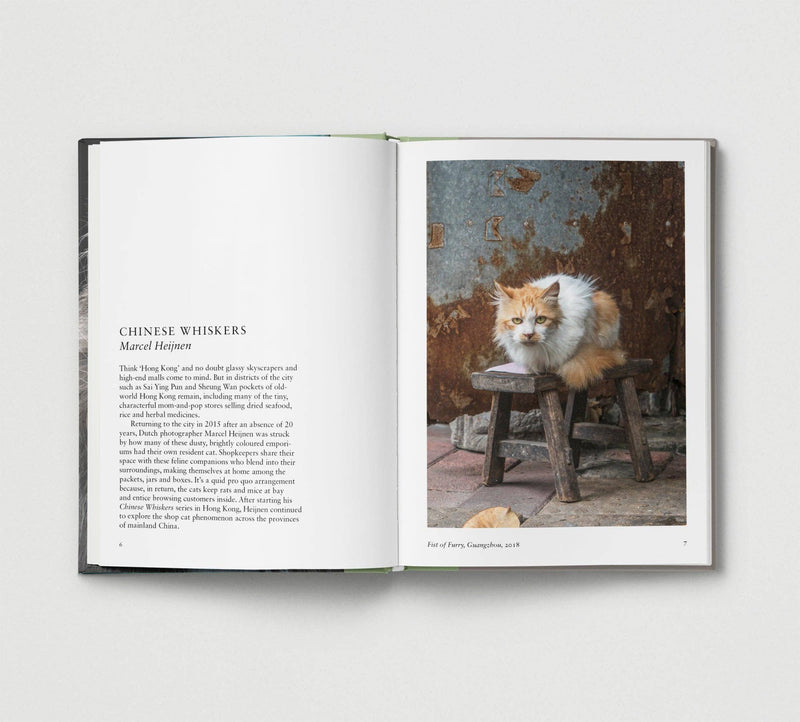 New Photography of the CAT - Hoxton Mini Press