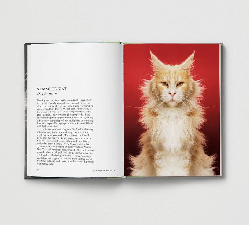 New Photography of the CAT - Hoxton Mini Press