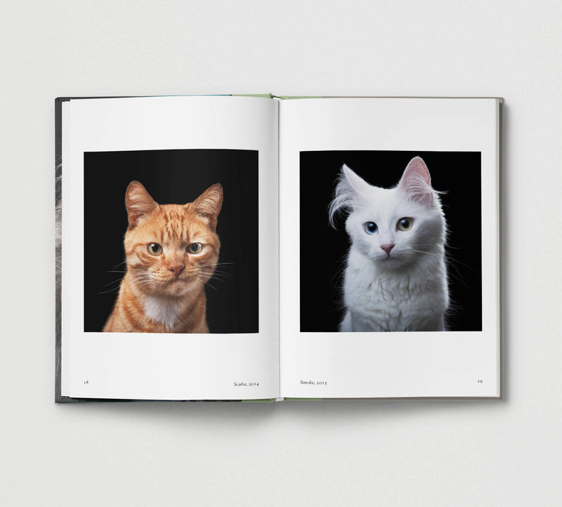 New Photography of the CAT - Hoxton Mini Press