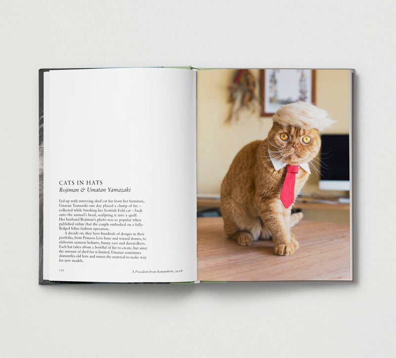 New Photography of the CAT - Hoxton Mini Press