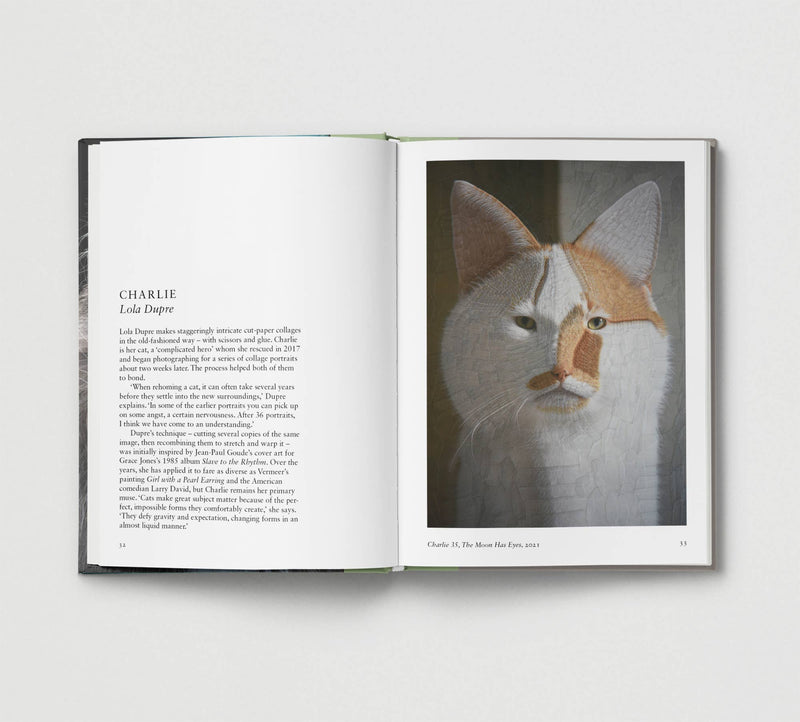 New Photography of the CAT - Hoxton Mini Press
