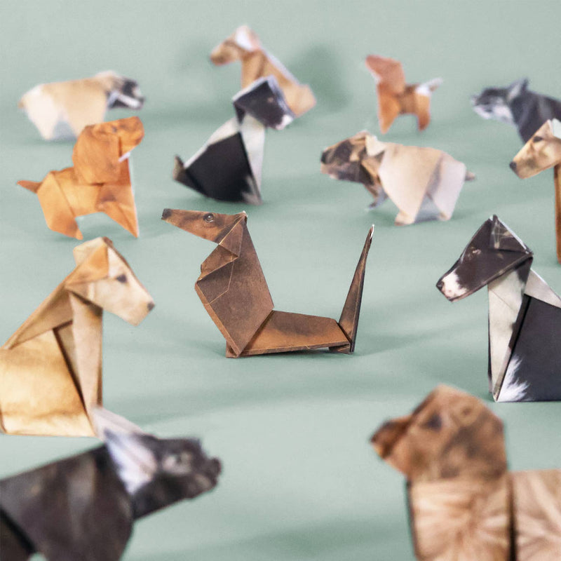 Pikkii Paper Pups DIY Origami Kit
