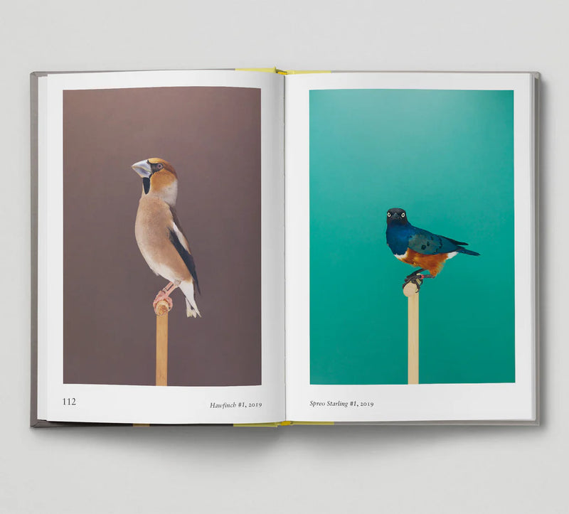 Hoxton Mini Press Bird.