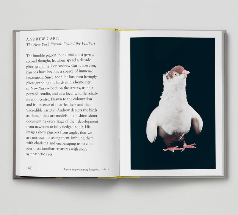 Hoxton Mini Press Bird.