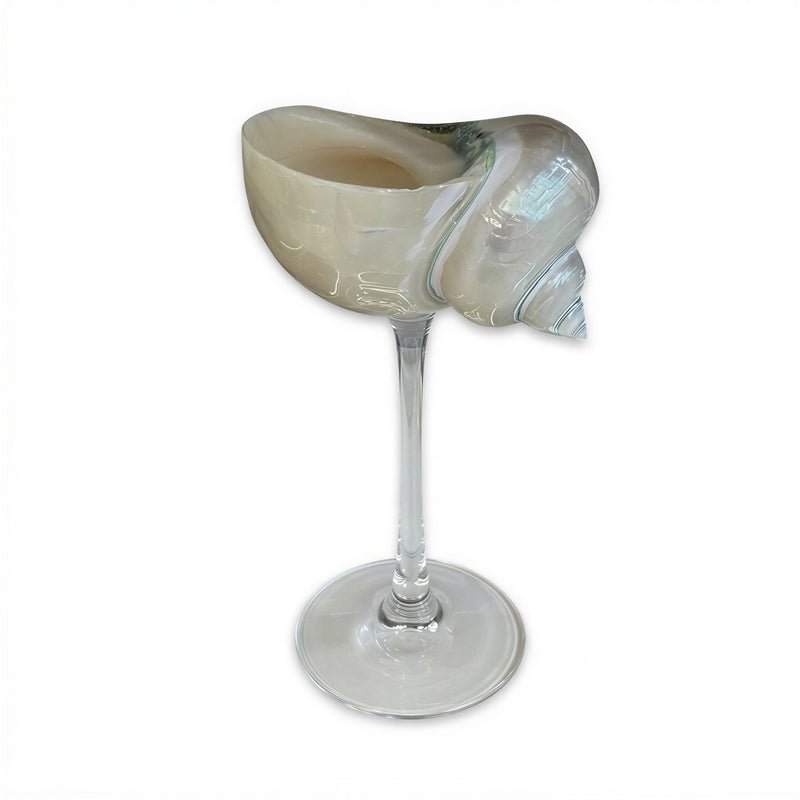 Pearly Shell Champagne Glass With Stem