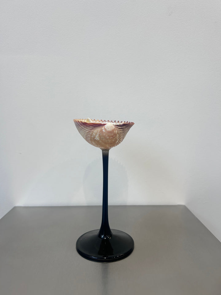 Shell Cocktail Glasses (ribbed)