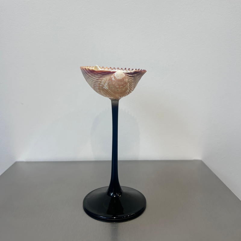 Shell Cocktail Glasses (ribbed)