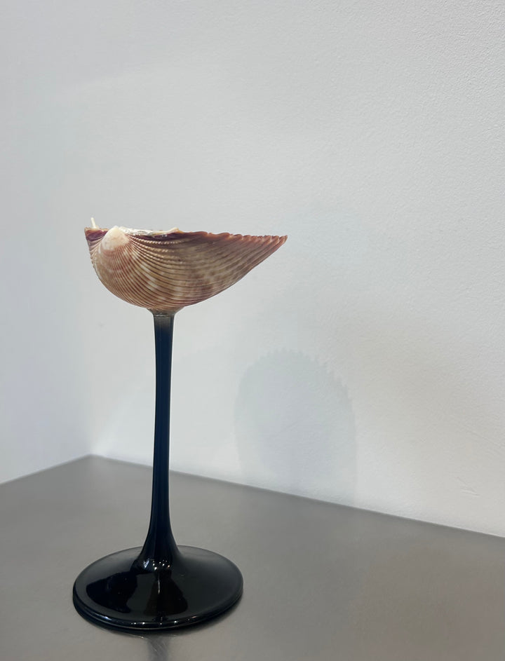 Shell Cocktail Glasses (ribbed)