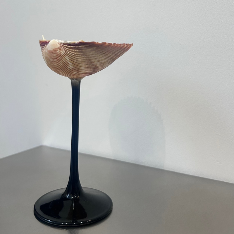 Shell Cocktail Glasses (ribbed)