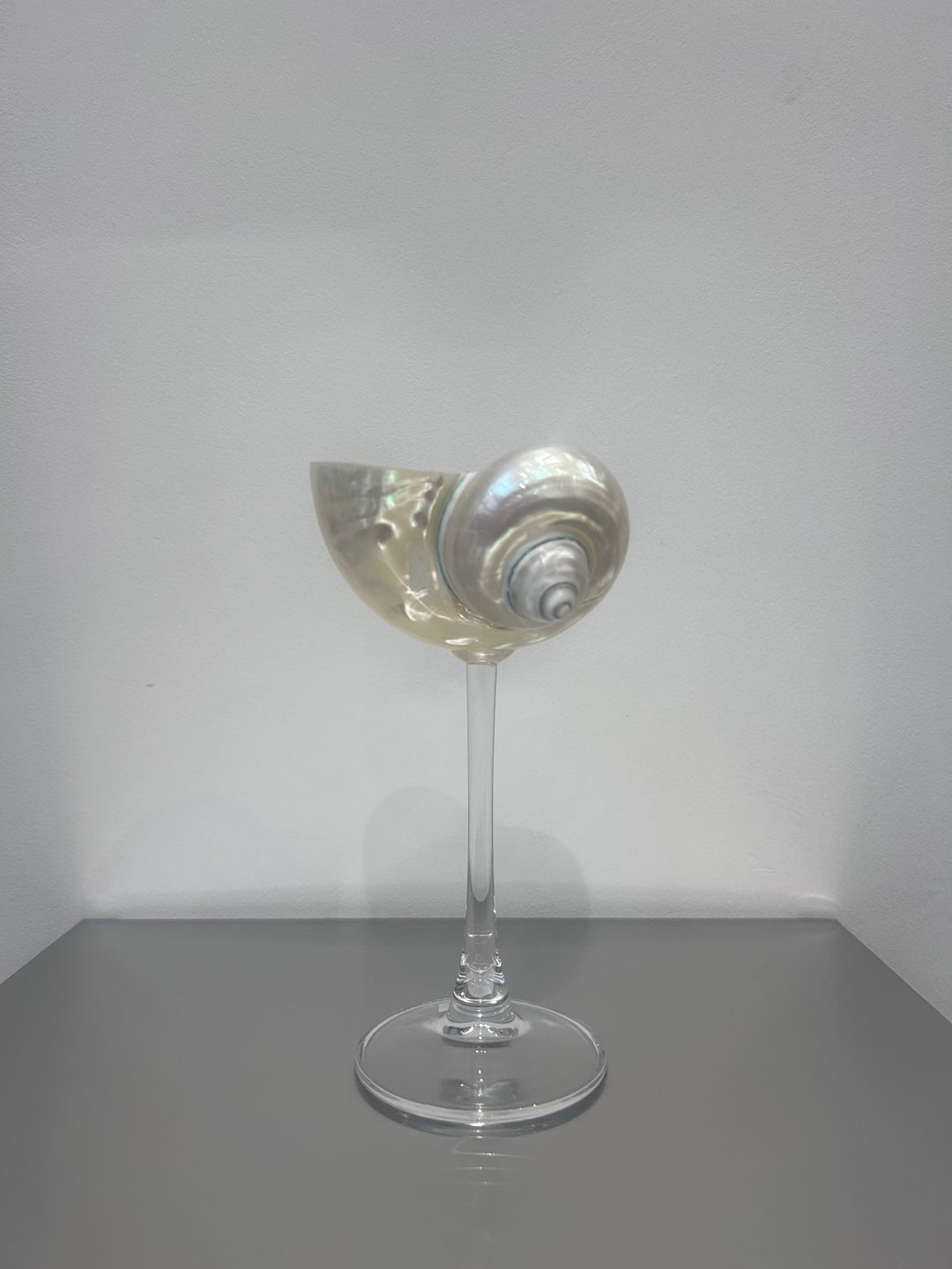 Shell Cocktail Glasses (silver)