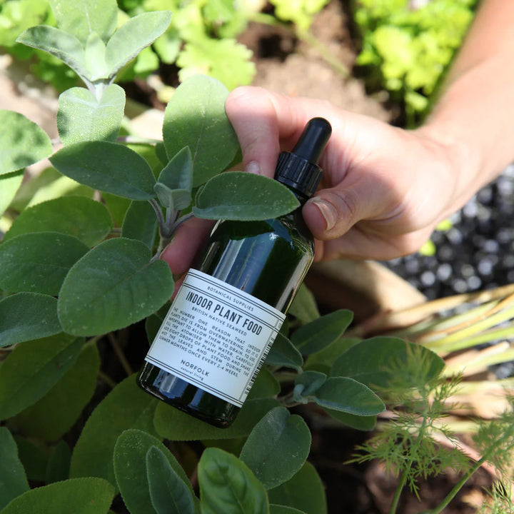Indoor Plant Food by Norfolk Natural Living