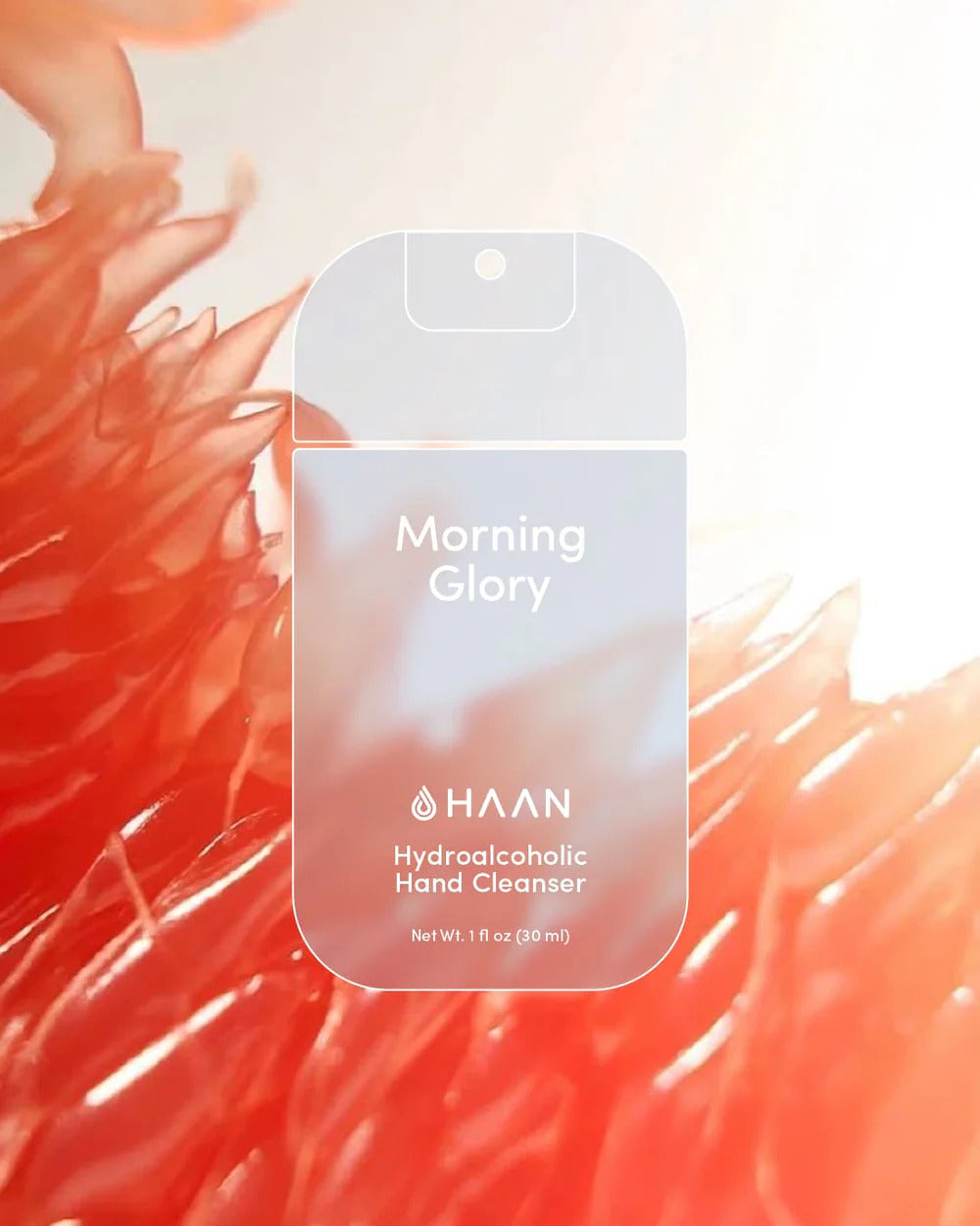 Hand Cleanser Morning Glory - by HAAN