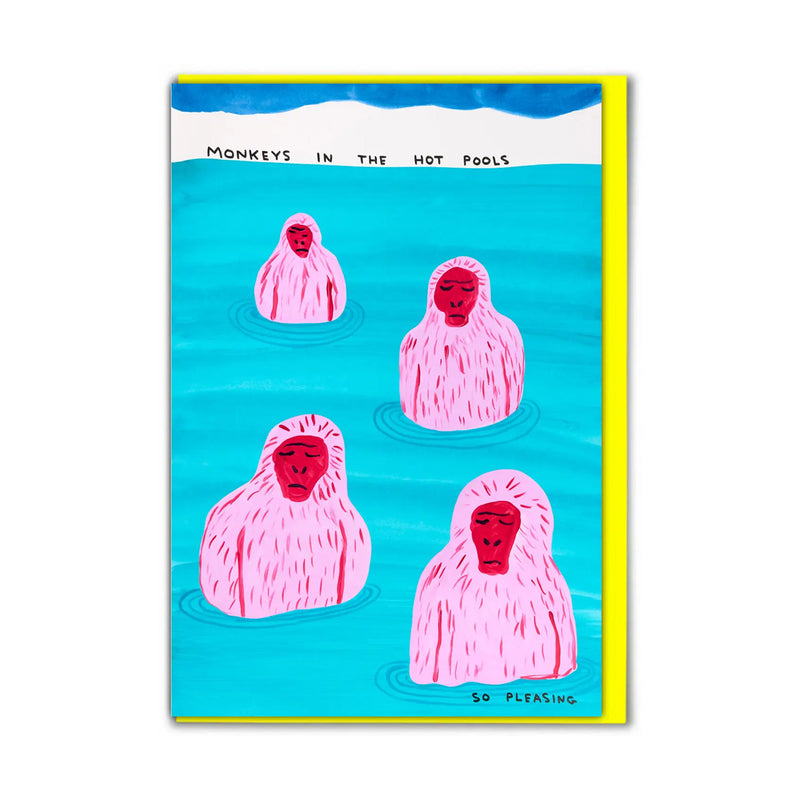 David Shrigley Funny Monkeys In Pool Birthday Card
