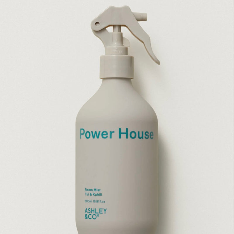 Ashley & Co Power House Room Mist 