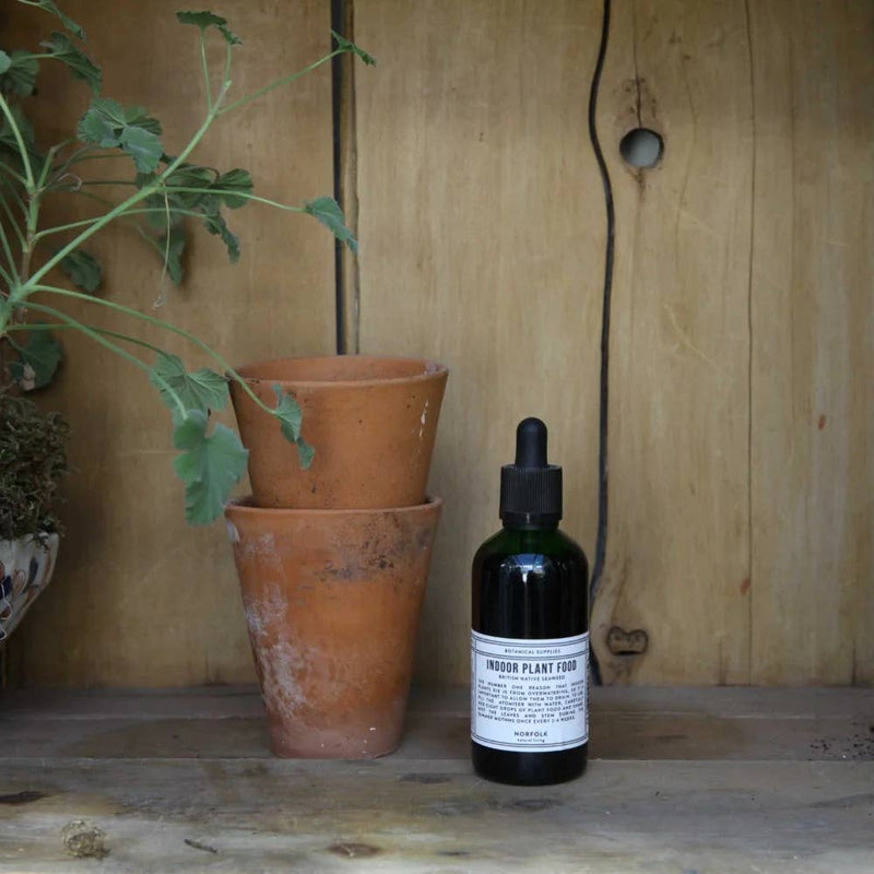 Norfolk Indoor Plant Food - 100ml