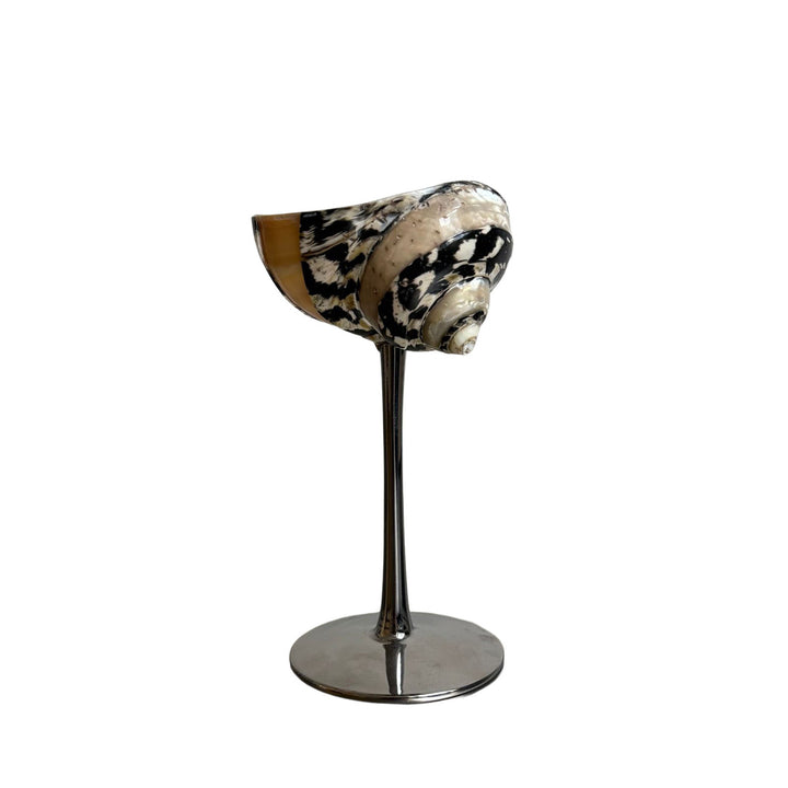 Shell Cocktail Glasses