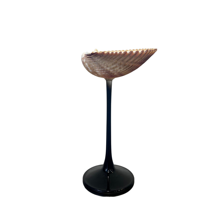 Shell Cocktail Glasses (ribbed)