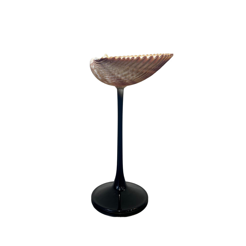 Shell Cocktail Glasses (ribbed)