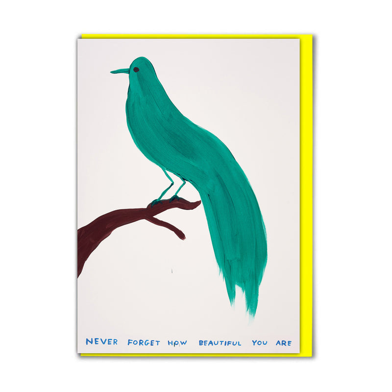 David Shrigley Funny Never Forget Birthday Card