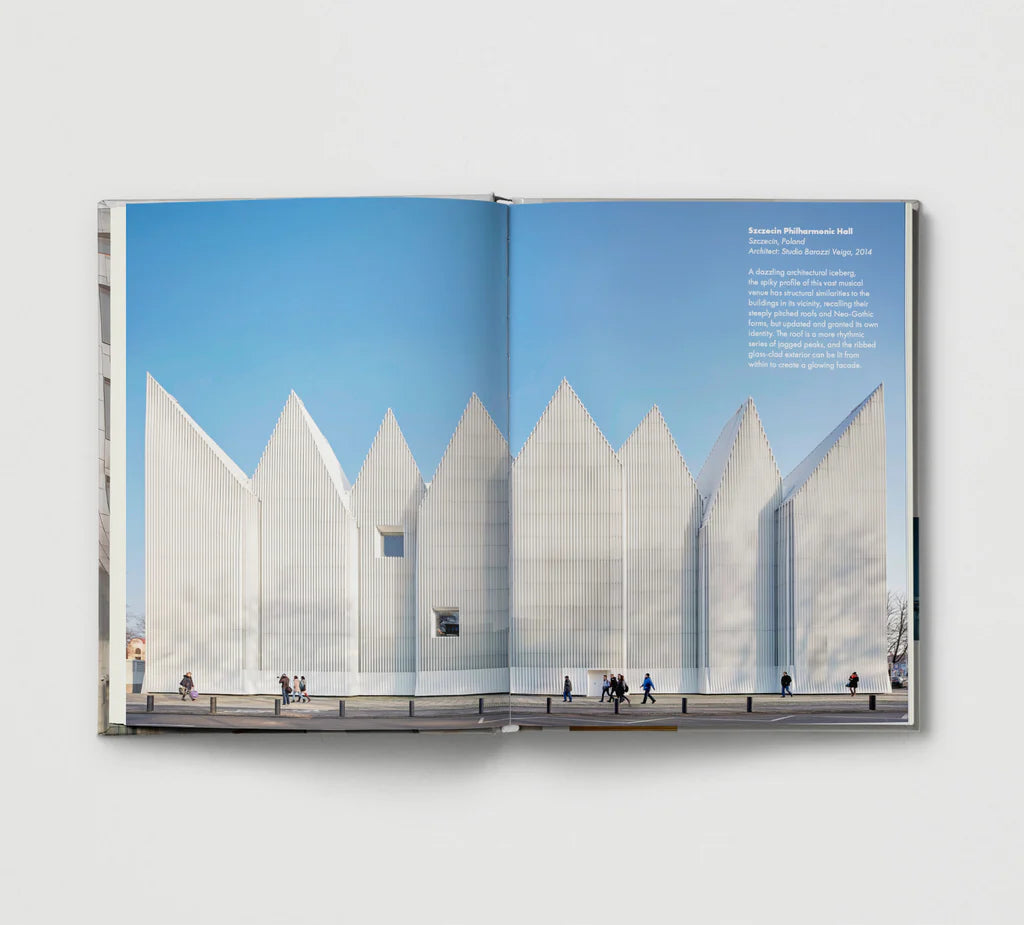 Weird Buildings  - by Hoxton Mini Press