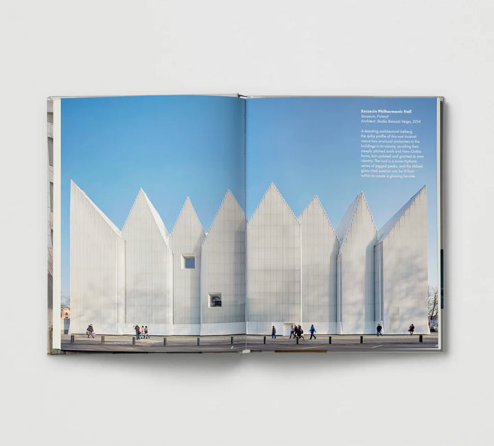Weird Buildings  - by Hoxton Mini Press