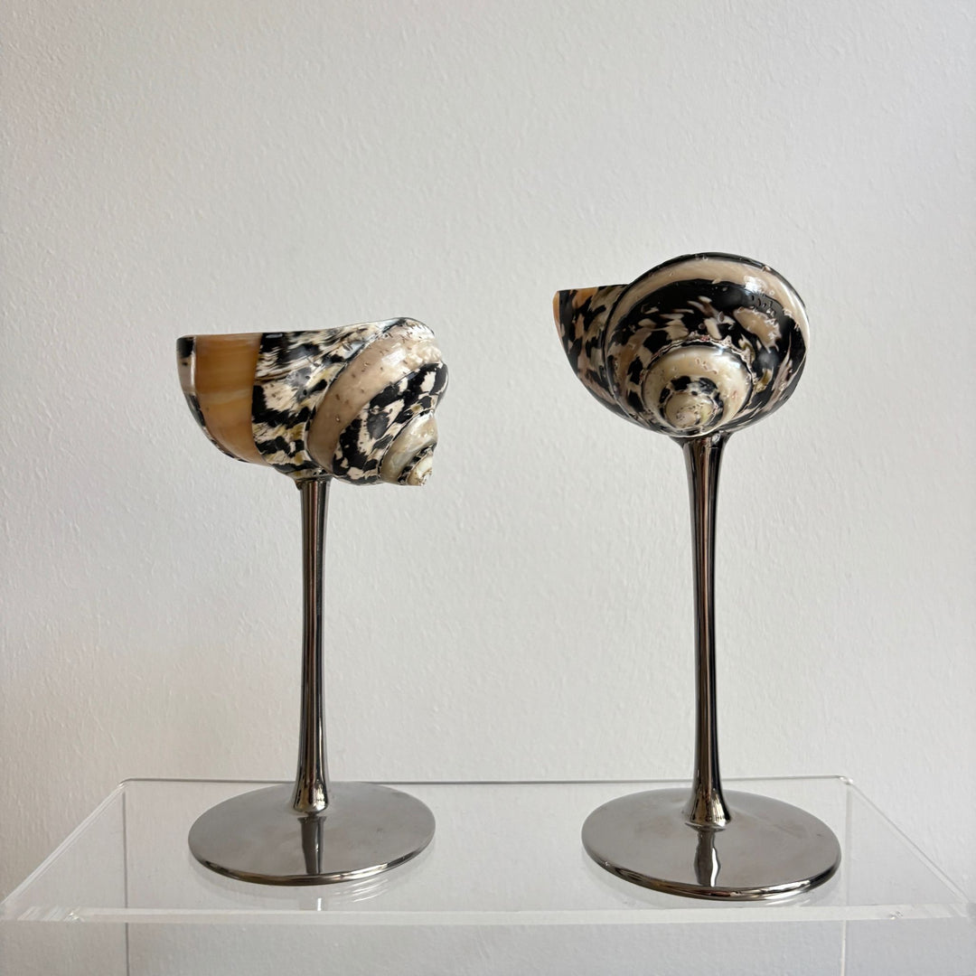 Shell Cocktail Glasses
