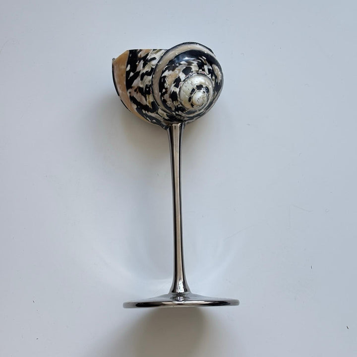 Shell Cocktail Glasses
