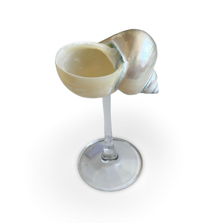 Shell Cocktail Glasses (silver)