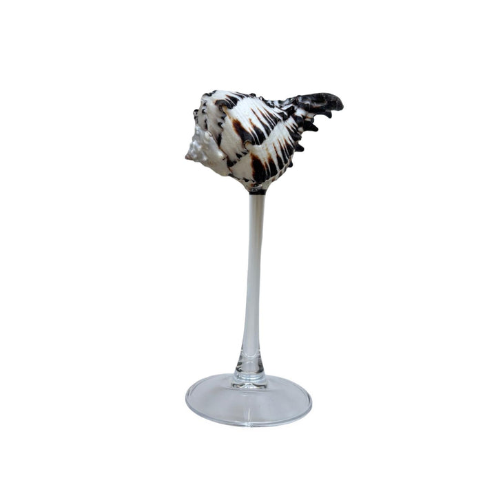 Shell Cocktail Glasses 2