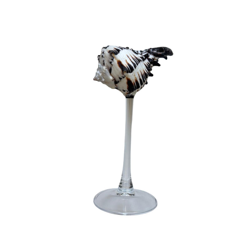 Shell Cocktail Glass