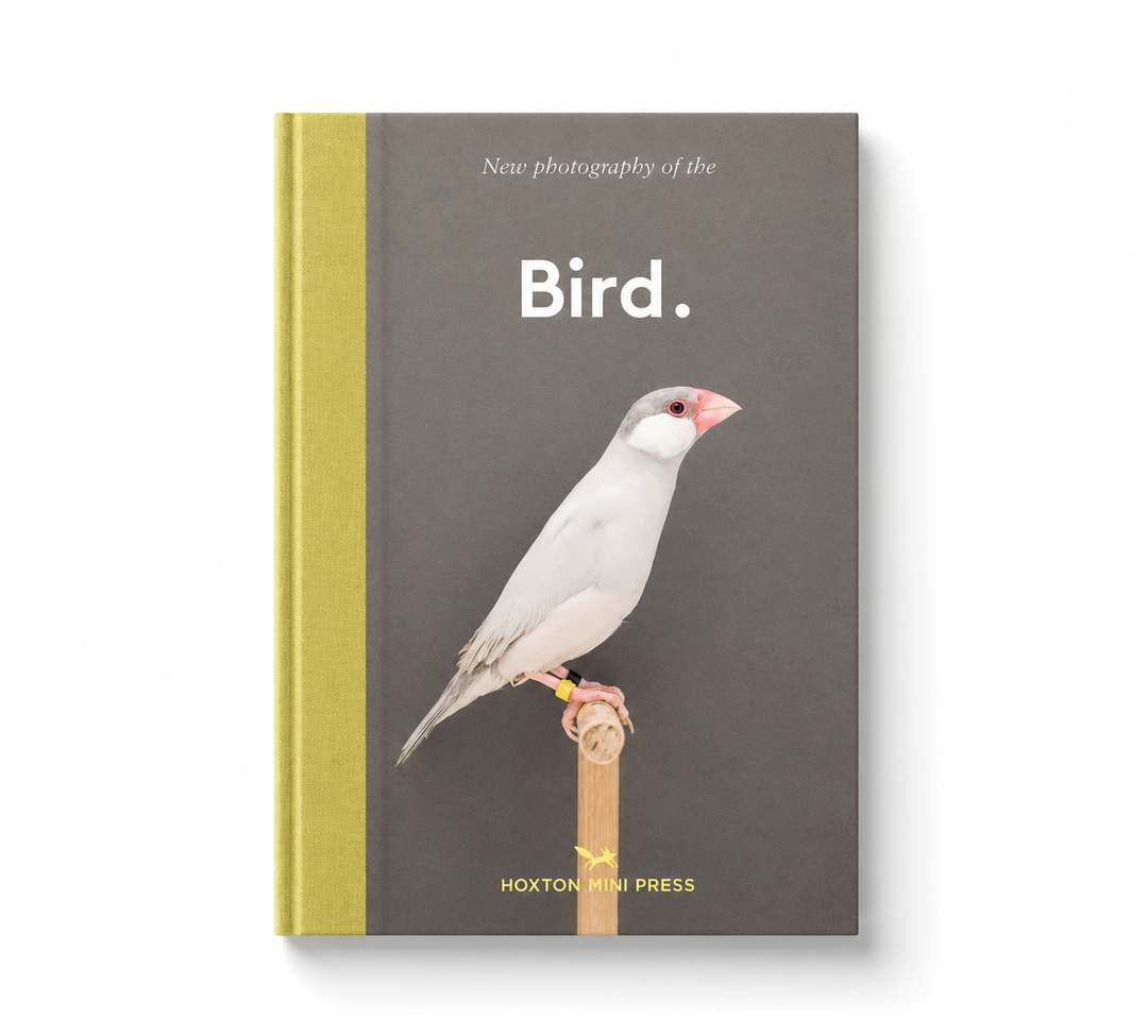 Bird. - by Hoxton Mini Press