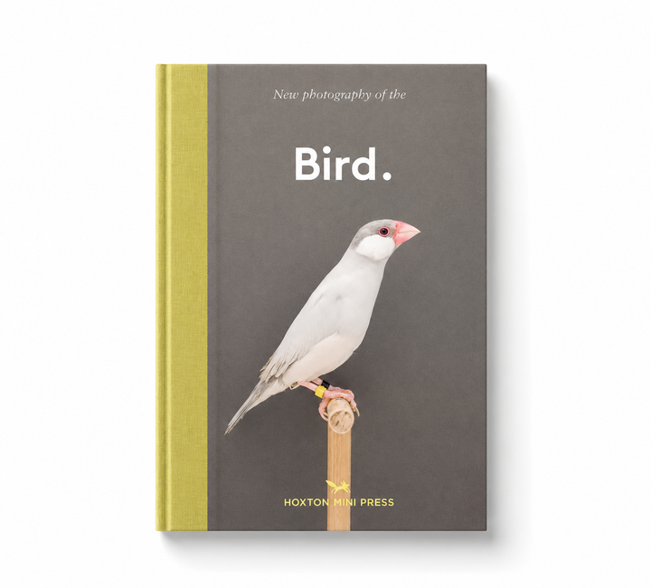 Bird. - by Hoxton Mini Press